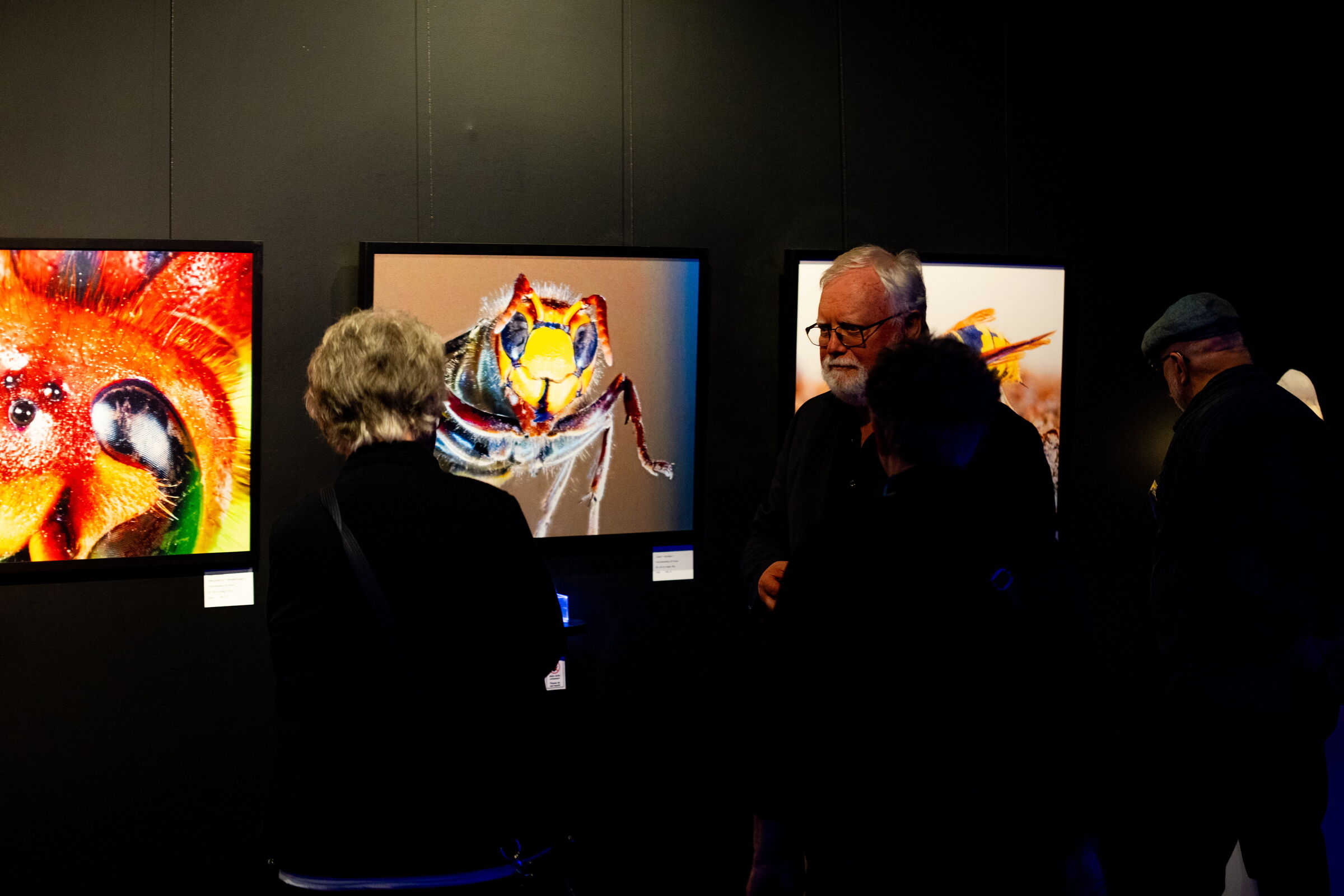 Bilder der Ausstellung vor einer schwarzen Wand mit Betrachtern